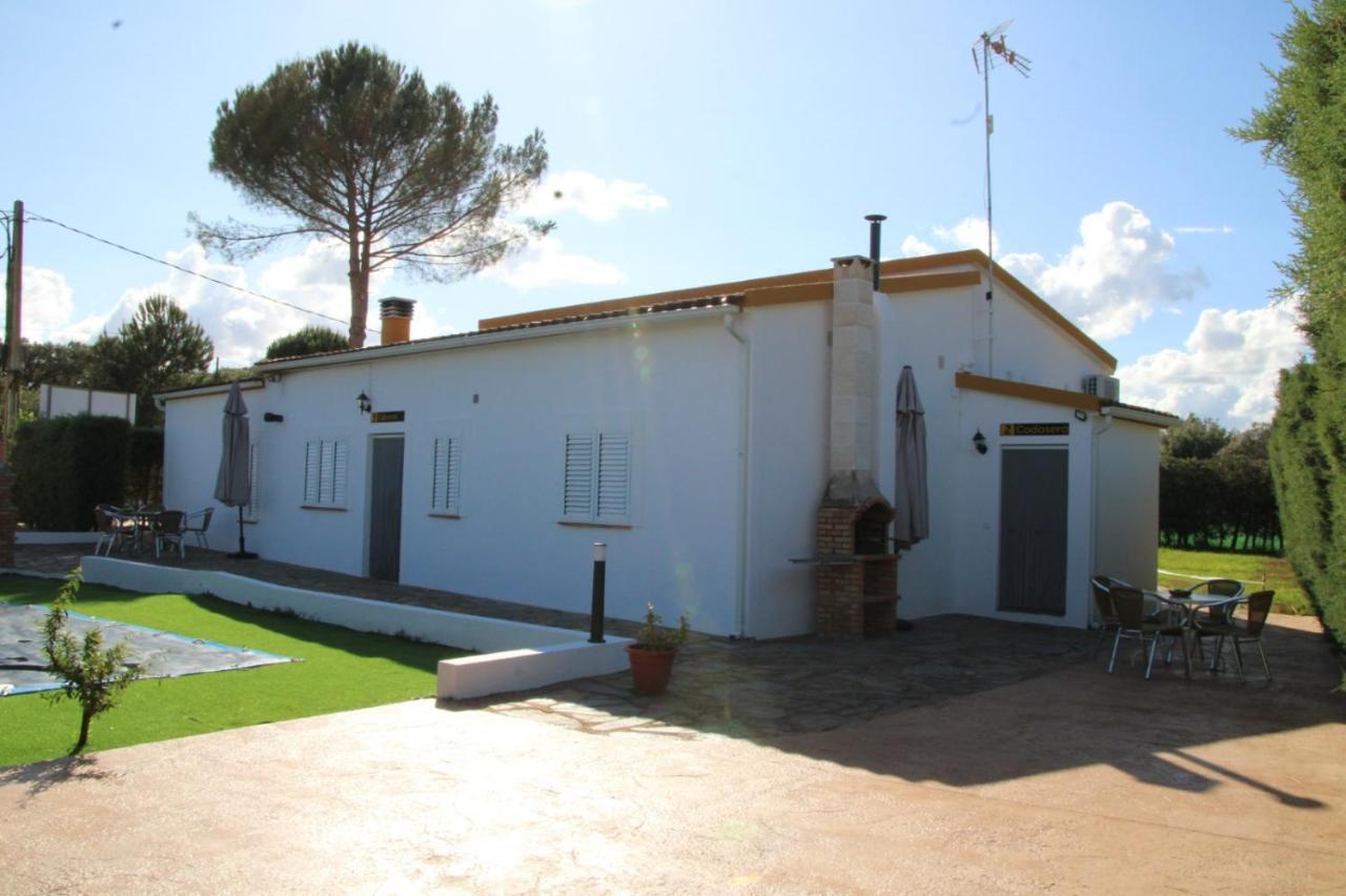 Alojamientos Rurales La Codosera Εξωτερικό φωτογραφία