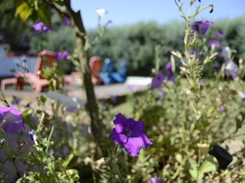 Alojamientos Rurales La Codosera Εξωτερικό φωτογραφία